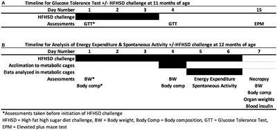 Developmental Exposure to a Mixture of Unconventional Oil and Gas Chemicals Increased Risk-Taking Behavior, Activity and Energy Expenditure in Aged Female Mice After a Metabolic Challenge